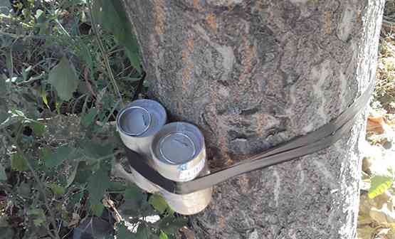 major bomb attack averted in odesa